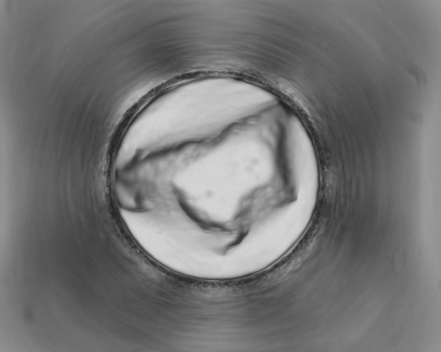 X0000113581071200910161535