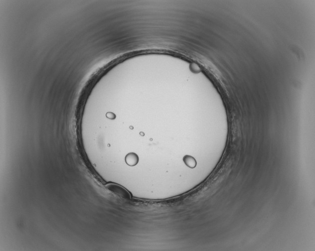 X0000113581072200910161535