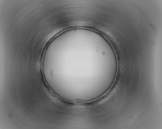 X0000113581073200910161535