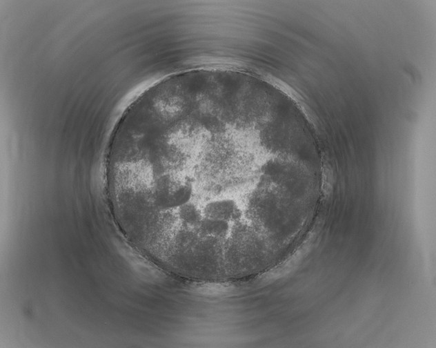 X0000113581074200910161535