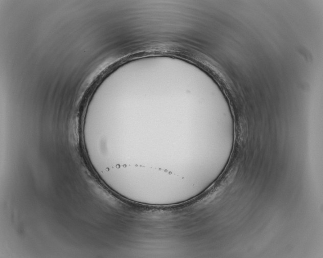 X0000113581075200910161535