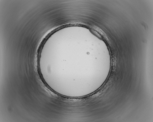 X0000113581076200910161535