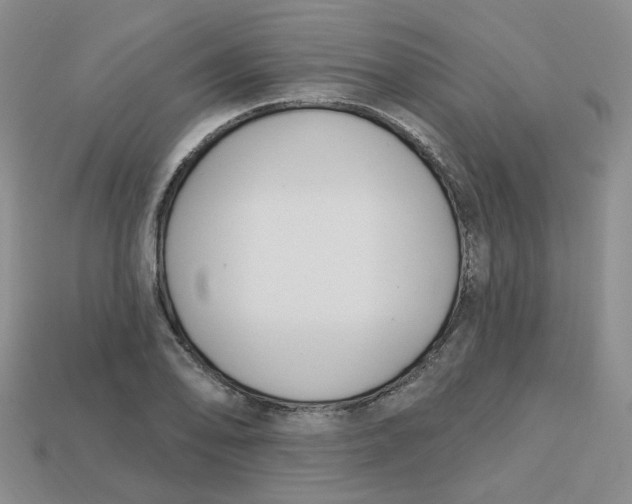 X0000113581078200910161535