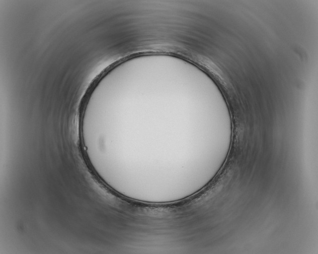 X0000113581079200910161535