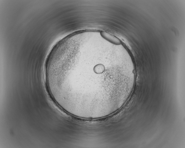 X0000113581080200910161535