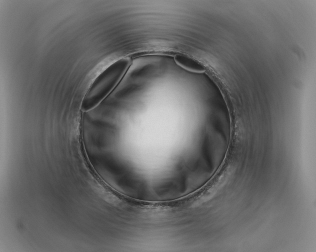 X0000113581081200910161535