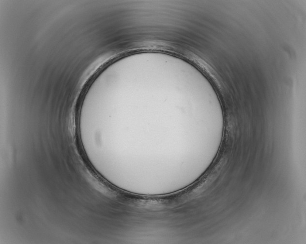 X0000113581082200910161535