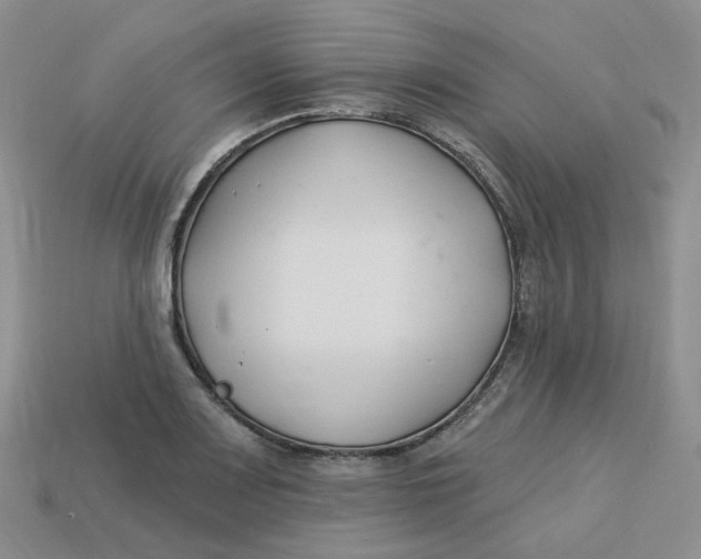 X0000113581083200910161535