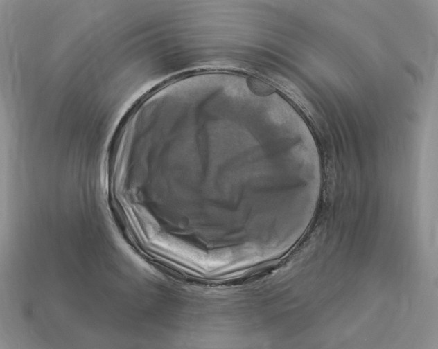 X0000113581084200910161535