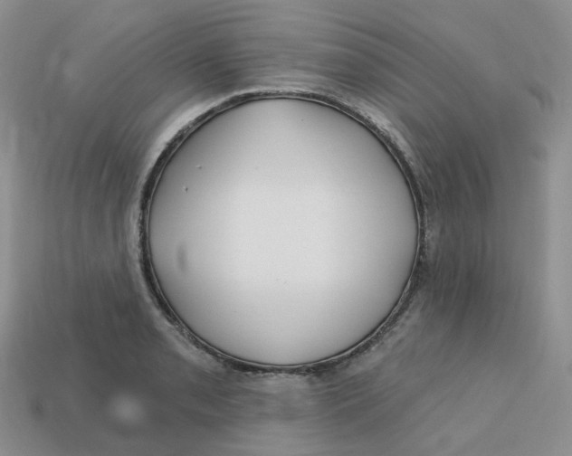 X0000113581085200910161535