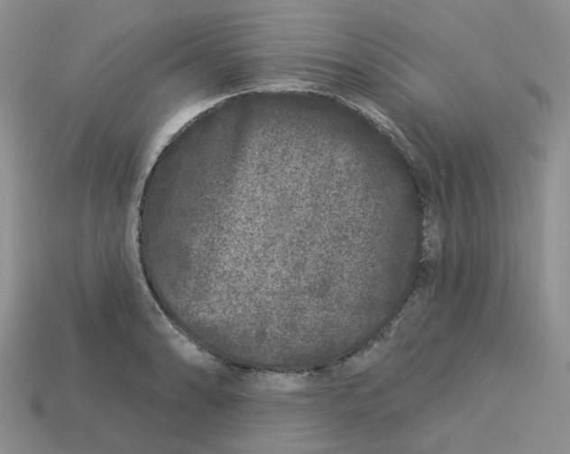 X0000113581086200910161535