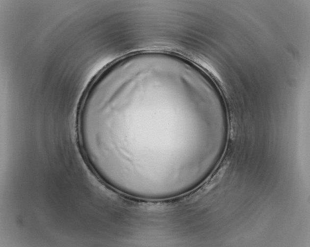 X0000113581087200910161535