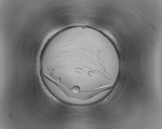 X0000113581088200910161535