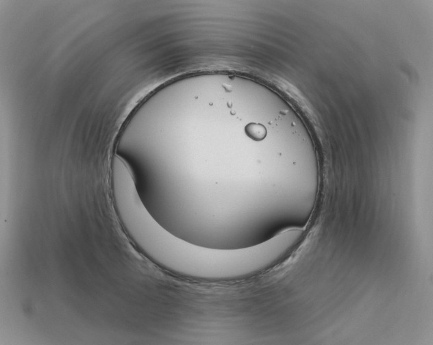 X0000113581089200910161535