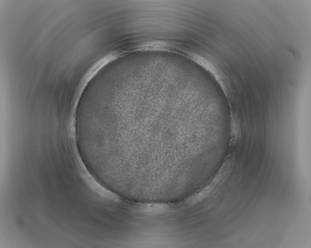 X0000113581090200910161535