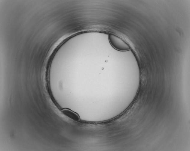 X0000113581091200910161535