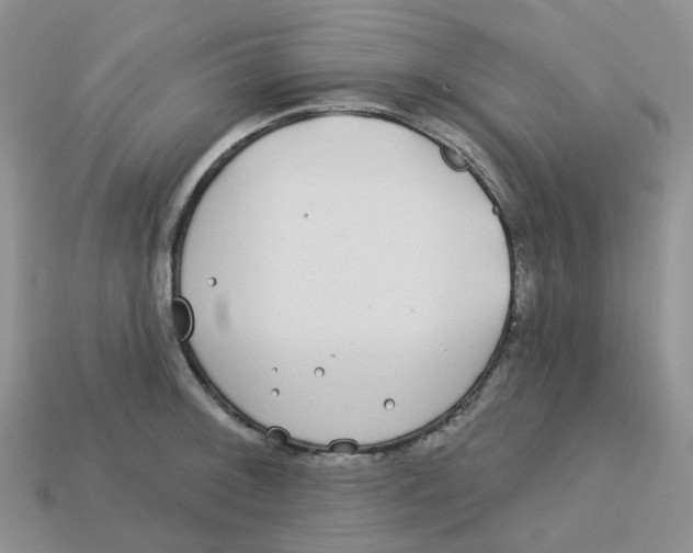 X0000113581092200910161535