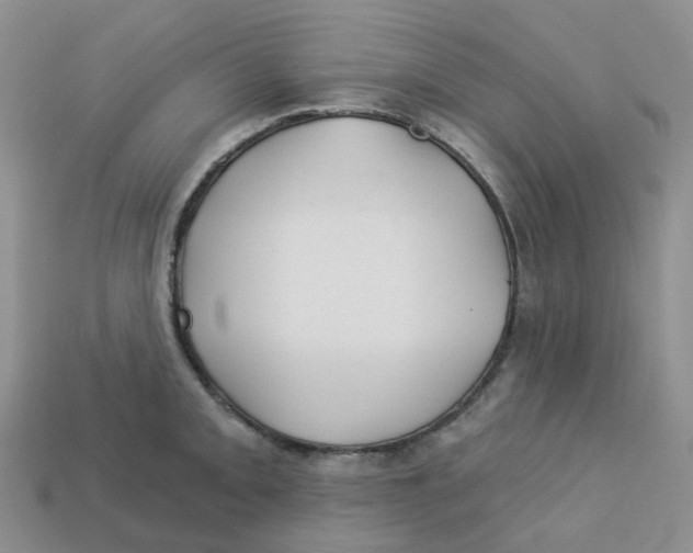 X0000113581093200910161535