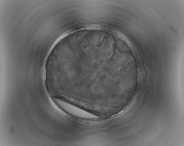 X0000113581095200910161535