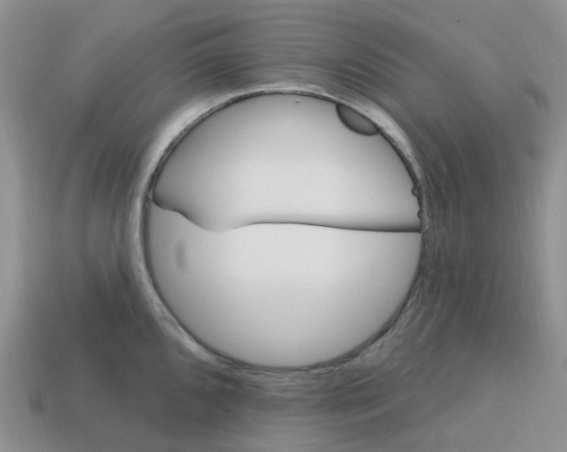 X0000113581096200910161535