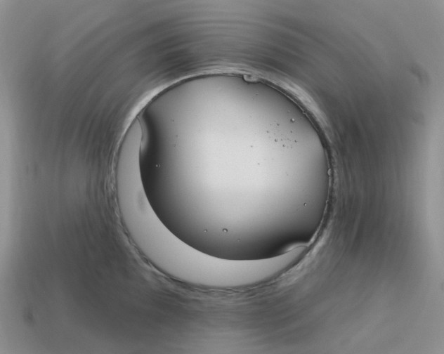 X0000113581097200910161535