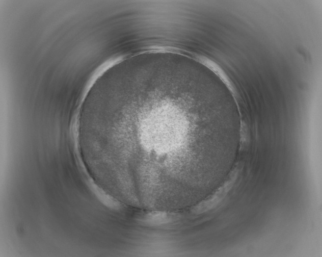 X0000113581098200910161535