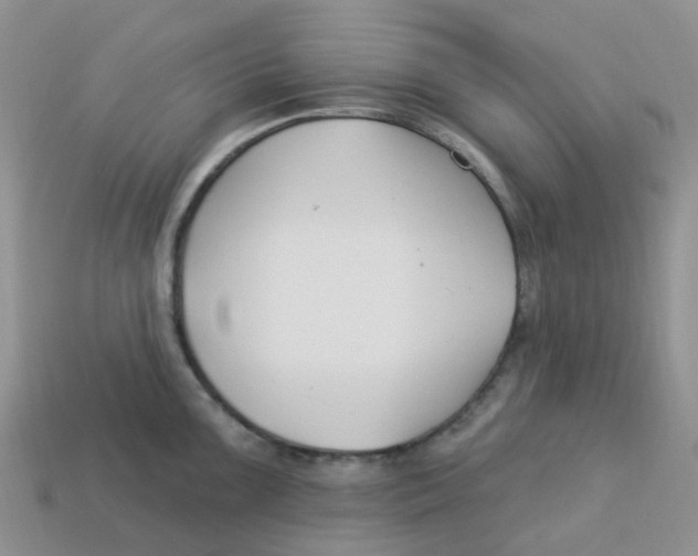 X0000113581099200910161535