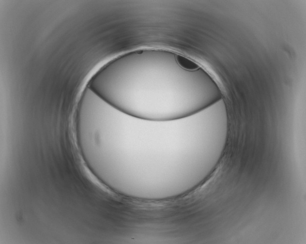 X0000113581100200910161535