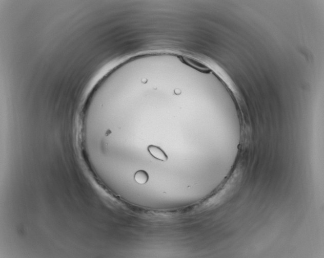 X0000113581101200910161535