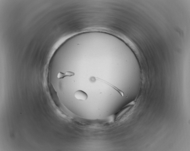 X0000113581102200910161535