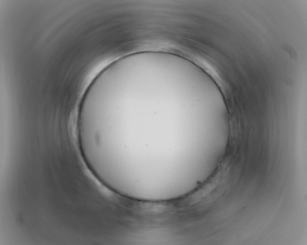 X0000113581103200910161535