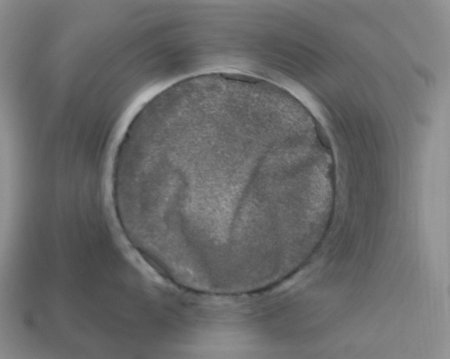 X0000113581104200910161535