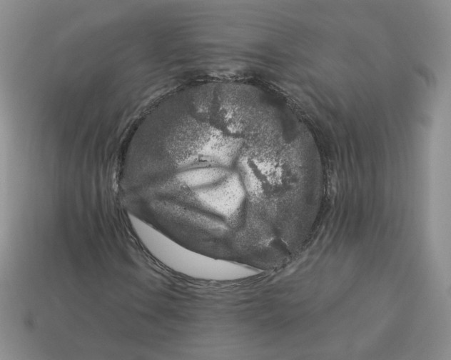 X0000113581106200910161534