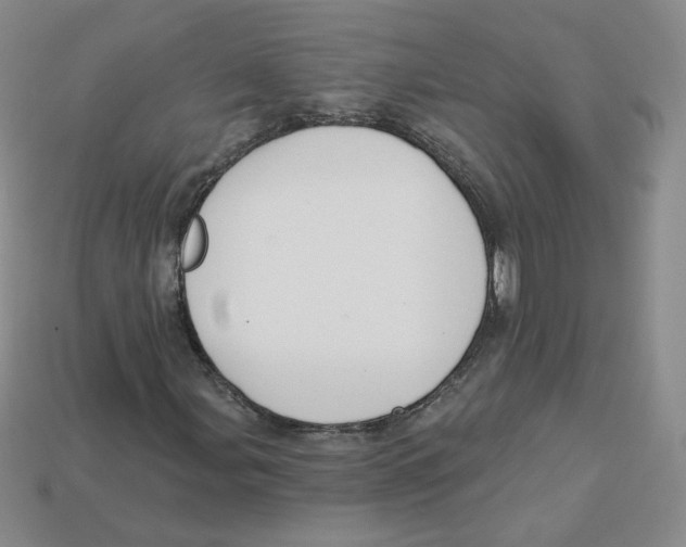 X0000113581107200910161534