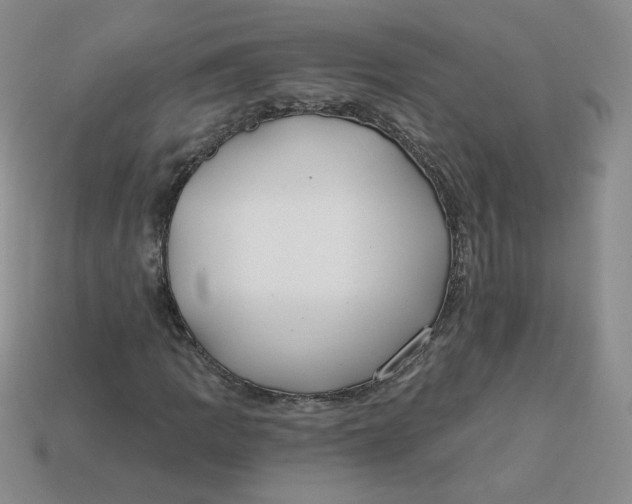 X0000113581109200910161534