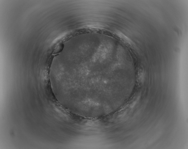 X0000113581110200910161534