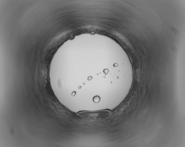 X0000113581111200910161534