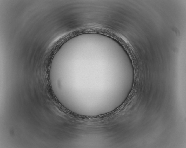 X0000113581112200910161534