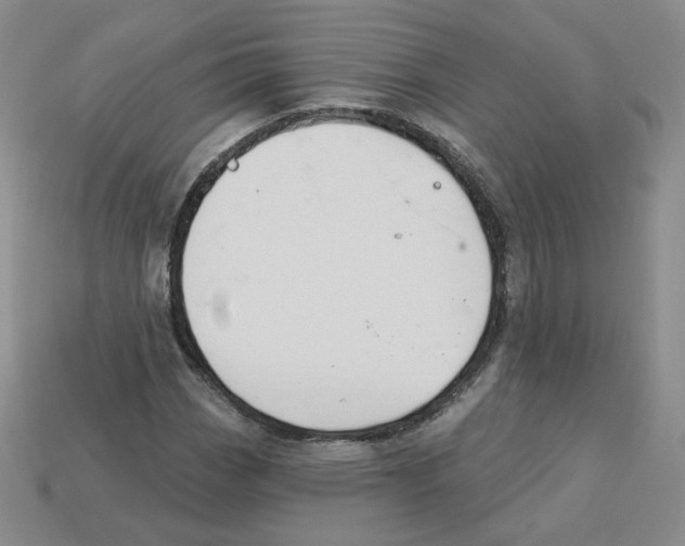 X0000113581113200910161534