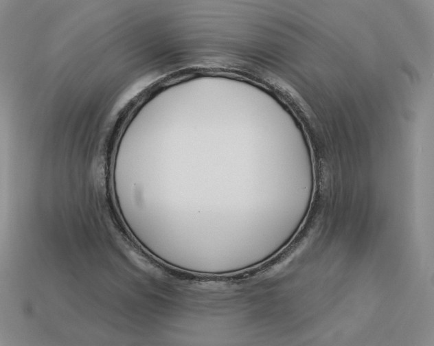 X0000113581114200910161534