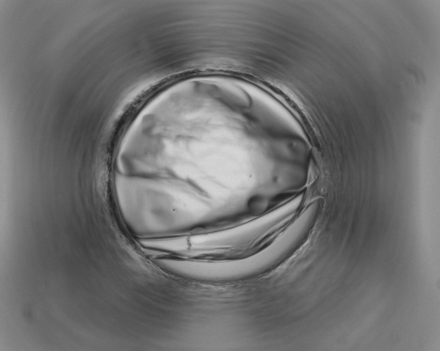 X0000113581115200910161534