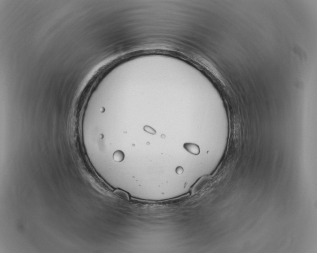 X0000113581116200910161534