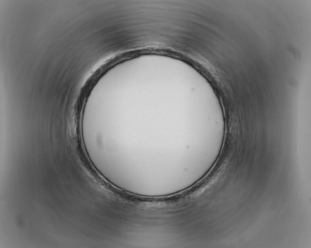 X0000113581118200910161534