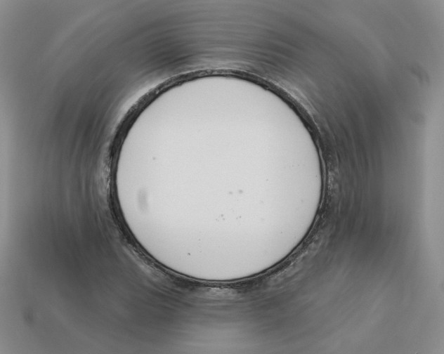 X0000113581119200910161534