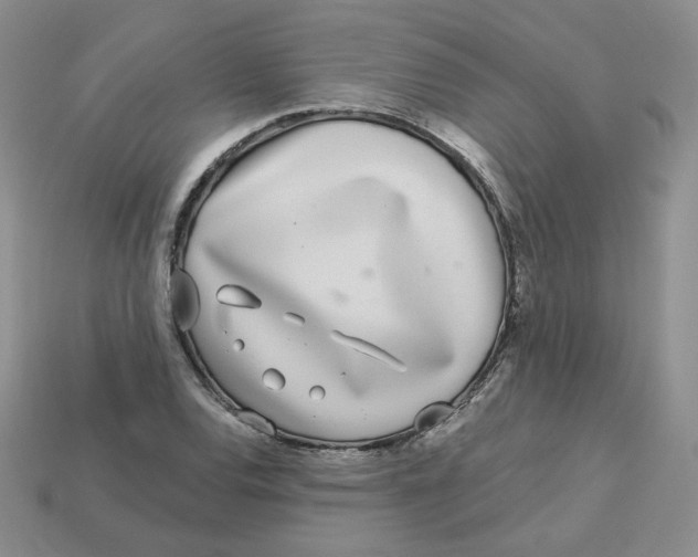 X0000113581120200910161534