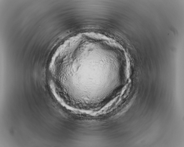 X0000113581121200910161534