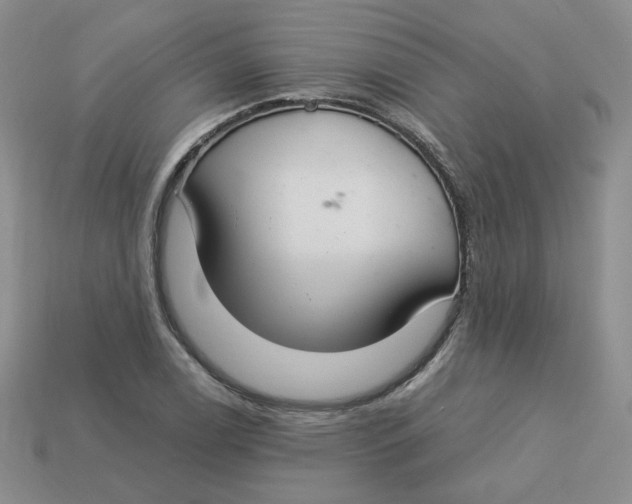 X0000113581122200910161534