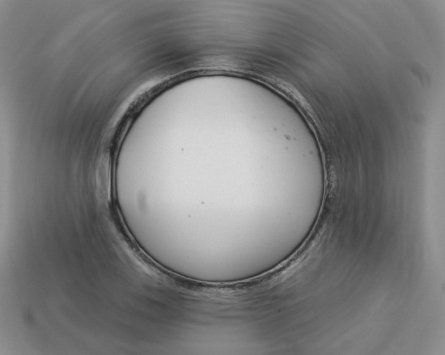 X0000113581123200910161534