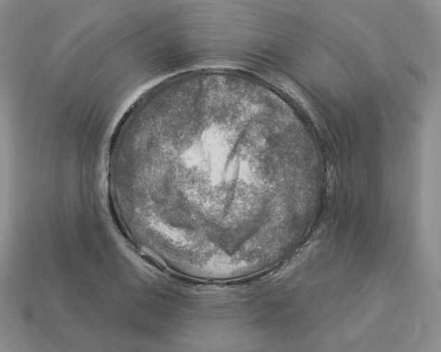 X0000113581124200910161534