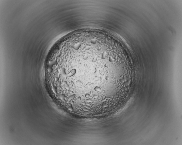 X0000113581125200910161534